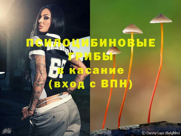ПСИЛОЦИБИНОВЫЕ ГРИБЫ Остров
