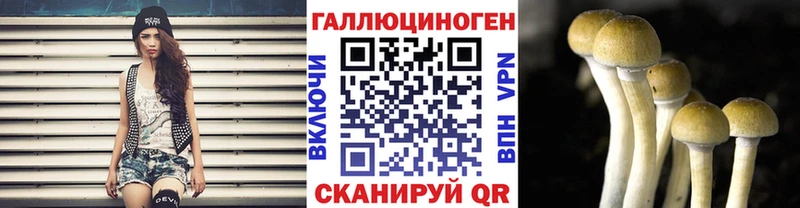 Галлюциногенные грибы Psilocybe  даркнет сайт  Ярославль 