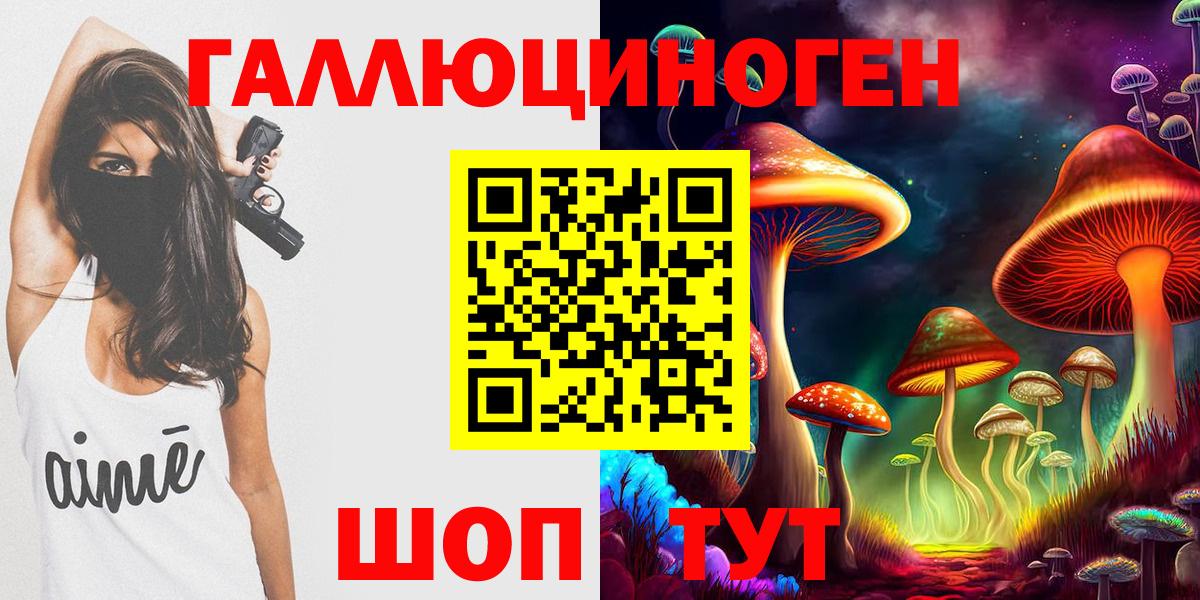 Ярославль  дарнет шоп  Вход с VPN  Псилоцибиновые грибы GOLDEN TEACHER 